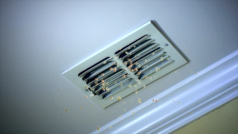 Best HVAC System Cleaning  in Dansville, NY