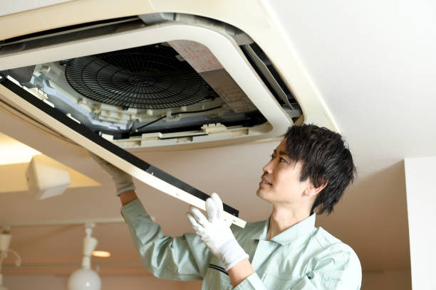 Best Emergency Air Duct Cleaning  in Dansville, NY