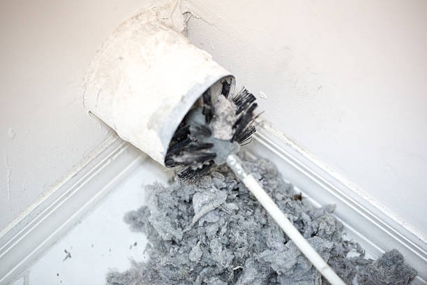 Best Local Air Duct Cleaning Services  in Dansville, NY