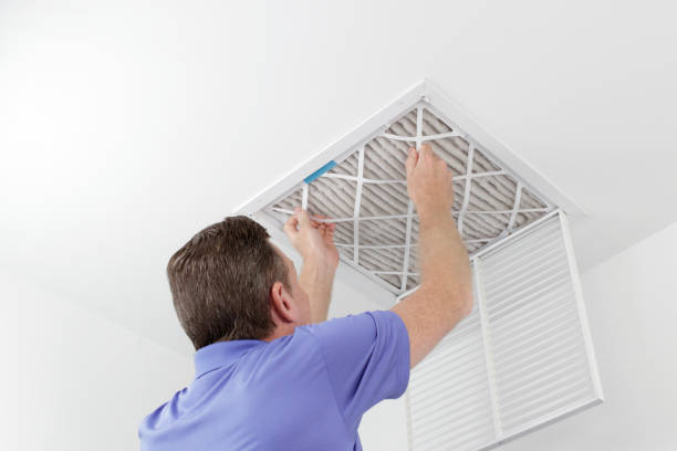 Best Home Air Vent Cleaning  in Dansville, NY
